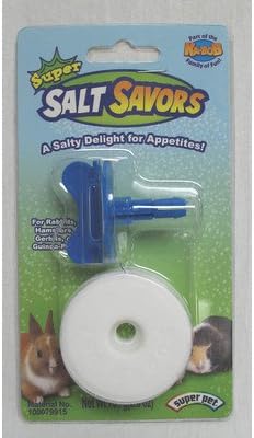 Kaytee Super Salt Savor