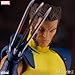 Mezco One:12 Collective Presents Wolverine DLX Steel Box Set