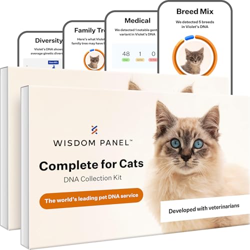 Wisdom Panel Complete: Comprehensive Cat DNA Test kit for 45 Health Genetic Health Conditions, 70+ Breeds and populations, 25+ Traits, Blood Type - Pack of 2