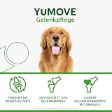 Yumove Testsieger Gelenktabletten Hund 2–7 Jahre – 120 Tabletten ActivEase