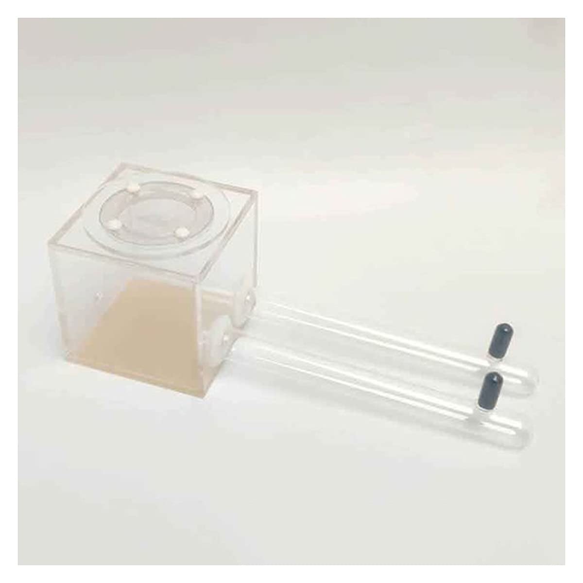 Nid Fourmis Acrylique Ant Habitat Ants Farm Transparent Boîte Fourmilière Fourmi Nid Educational Insecte Villa 7 X 7 X 7cm Animaux Mania Maison Anniversaire Cadeau