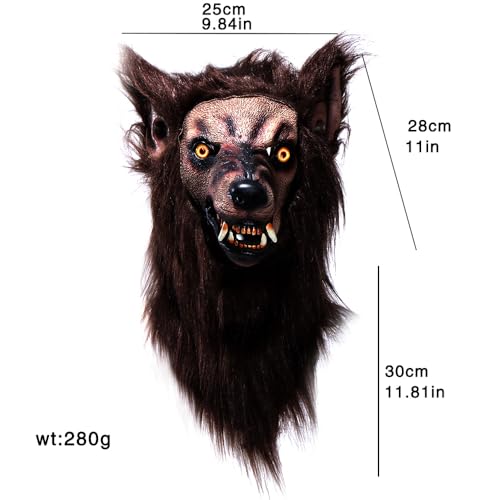 Photo complémentaire