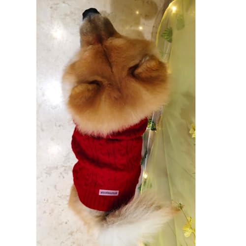 Image of Lulala Dog Sweater for Winter | Warm Knitted Woolen Sweater for Small & Medium Dogs | Cozy Cable Knit Pullover for Pets | Soft & Stretchable Winter Dog Clothes