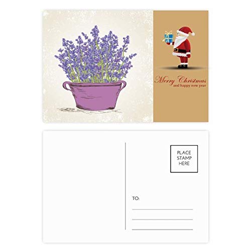 Cartes postales pour pot de lavande violette : lot de 20 cartes de correspondance