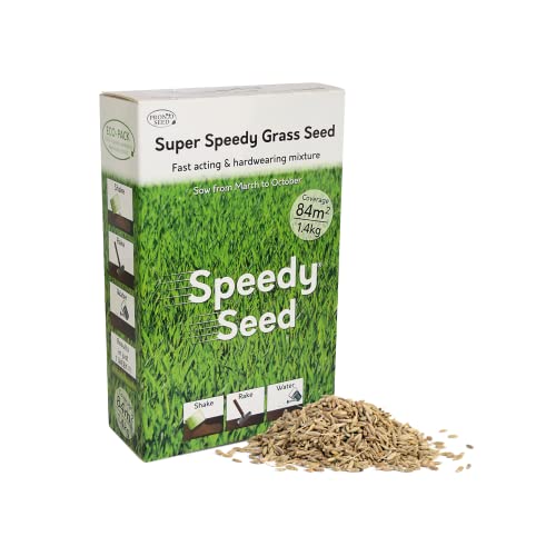 Choosing The Right Grass Seed
