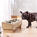 JUJOYBD Katzennapf 3er Set - Erhöhter Futternapf mit 3 Edelstahlnäpfen, 15° Neigung Ergonomische Futterstation für Katzen und kleine Hunde