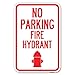 SignMission No Parking Fire Hydrant (with Graphic) | 12