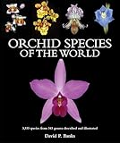 Orchid Species of the World: 3,333 species from 343 genera described and illustrated