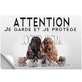 Stick Attention au chien cocker anglais