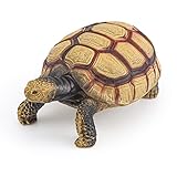 European Tortoise Wildlife Animal Model Figure Garden Ornament Education Cognitive Toy for Boys Girls Kids