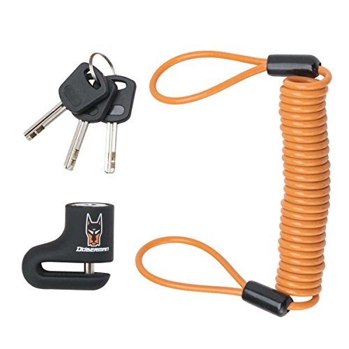 h[x}(DOBERMAN) fBXNbN (OYh~XpCC[) STCY DBL-010