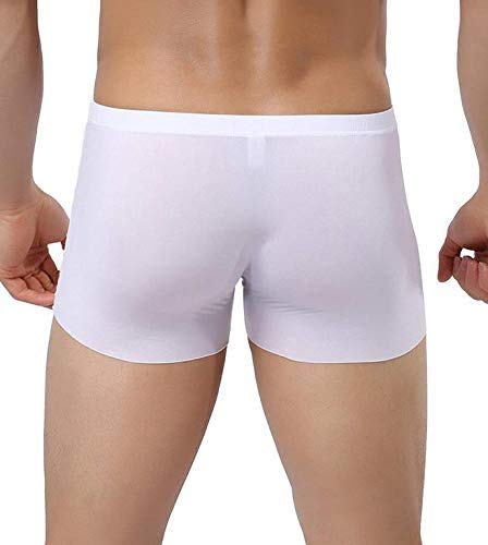 Men's Underwear 3D Stereo Stamping One-Piece Men's Ice Silk Boxer Breathable Seamless Sexy See-Through Transparent Briefs White Us S（Asian Tag Xl/Waist:28-30） #TOP5