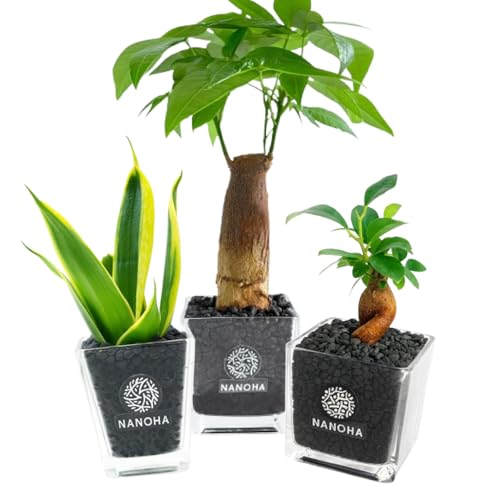 KW} pL TXxA 3Zbg OX yg킸qI ϗtA { ~j nChJ`[  