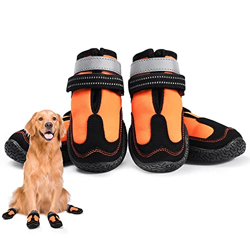 The Best Waterproof Dog Walking Shoes Top 7 Picks By An Expert BNB