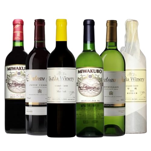 甲州市 厳選ワイン6本セット(MG)H9-480