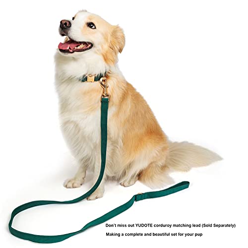 Hundehalsband für Welpen aus natürlichem Baumwollcord