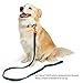 YUDOTE Ultraweiches Hundehalsband natürliche Baumwolle Cord für Mittel Hunde mit empfindlicher Haut,Grün