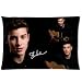 Shawn Mendes. Custom Zippered Pillow Case 20x30