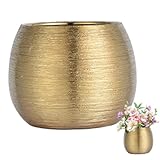 Elemento decorativo versatile: perfetto per piante grasse, erbe o piccole piante decorative, questo vaso adatta facilmente a soggiorni, camere da letto, cortili o uffici..Un pezzo sottile ma accattivante sia per l'arredamento moderno che classico.
