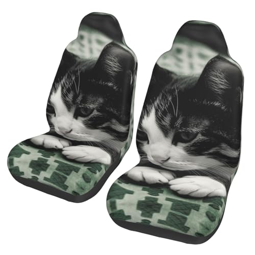 Housses de siège de voiture contre la chaleur et l'usure avec deux protections motif chat