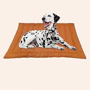 I WISH Quilted Pet Bed Mattress | Washable Pet Bed| Light Weighted Dog Flat Mat (Medium) 100 x 66 cm (Mustard Dark) Polyester