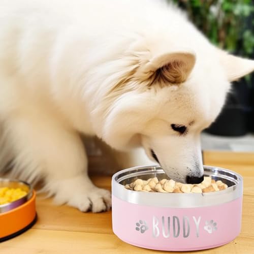 Personalisierter Futternapf für Hunde und Katzen, mit Namen, Edelstahl, farbiger Futternapf, individuelles Haustierzubehör, Geschenk