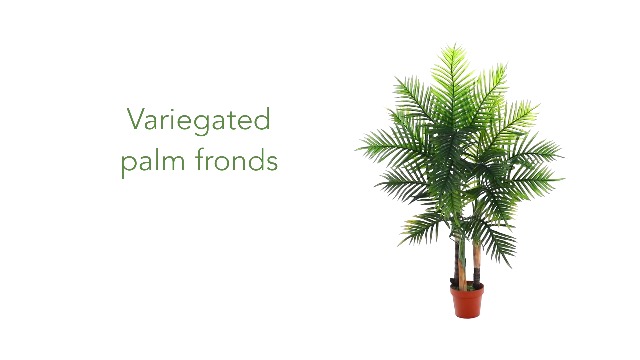Amazon.com: Nearly Natural 4ft. Areca Palm Tree (Real Touch) : Home &  Kitchen