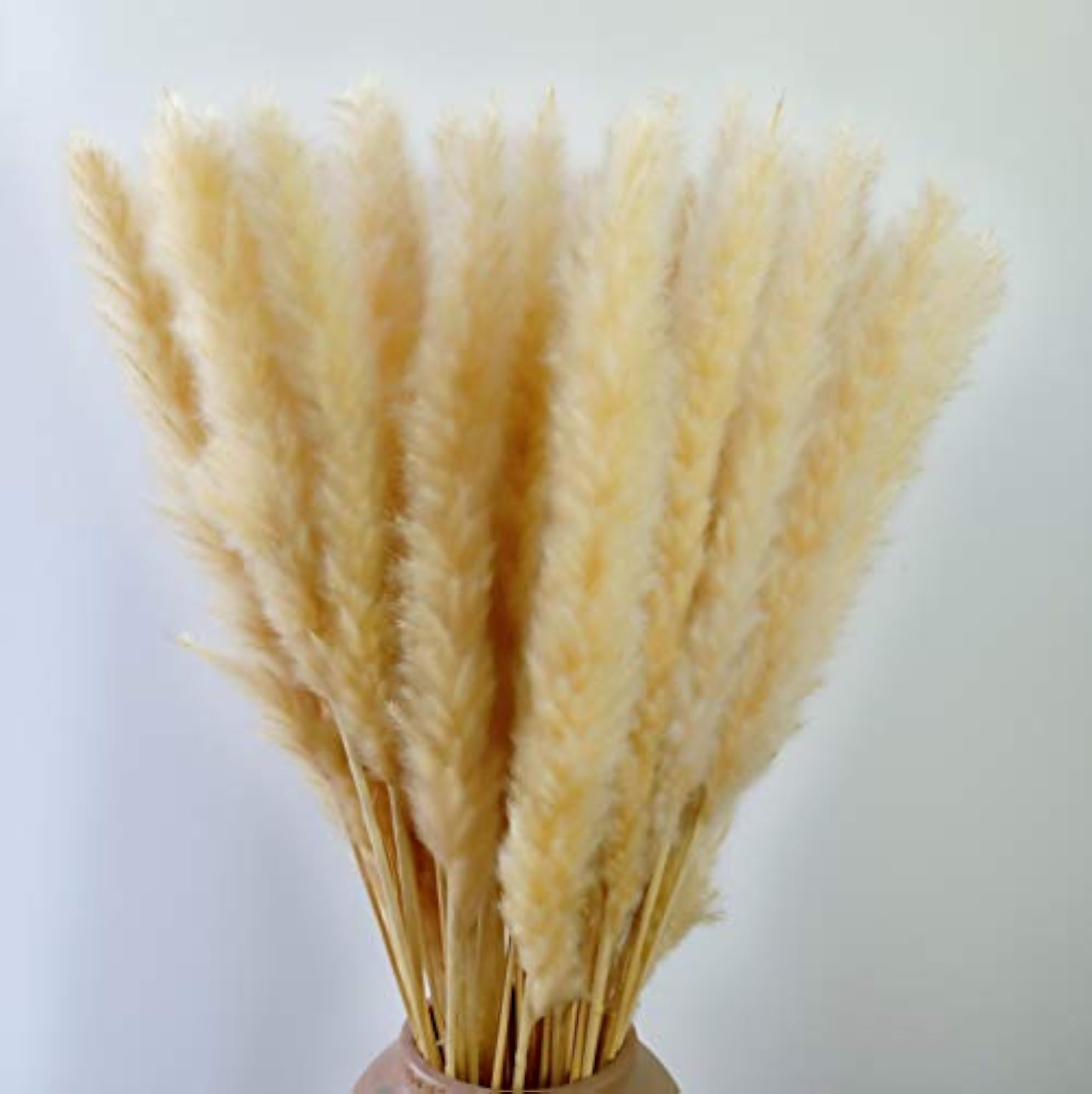 Feather Small Pampas Grass Bunch for Wedding Decor
