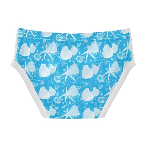 White Seashells Starfish Toddler Boy's Underwear 2T 202c18682