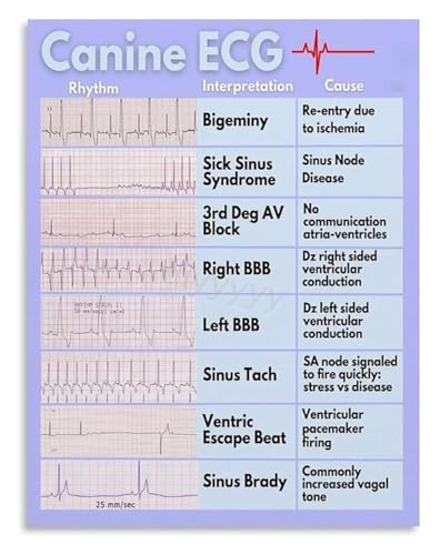 Veterinary Office Decor ECG Chart Canvas Wall-Art Educational Heart Rhythm Guide for Animal Clinic(Framed,12x18inch(30x45cm))