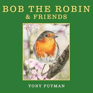 Bob the Robin & Friends cover art