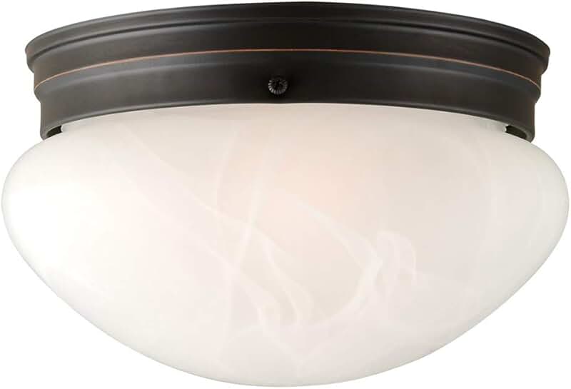 2 bulb ceiling light fixture