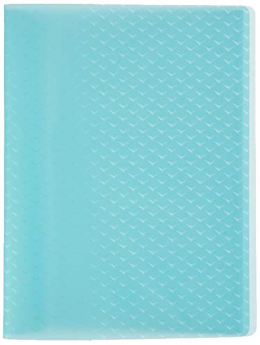 Esselte 626229 - Carpeta de 40 Fundas Tapas Flexibles Colour'Ice PP Multicolor