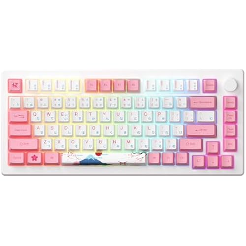 Akko Magnetic Switches Rapid Trigger Gaming Keyboard, MOD007B HE PC World Tour Tokyo Wired/Wireless 75% 8k Polling Rate Mechanical Keyboard with Knob, RGB Backlit Creamy Yellow Magnetic Switch