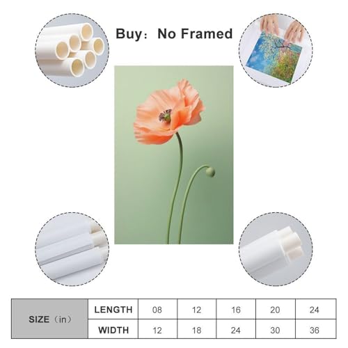 Affiche coquelicot orange 60x90cm poster mural moderne vert