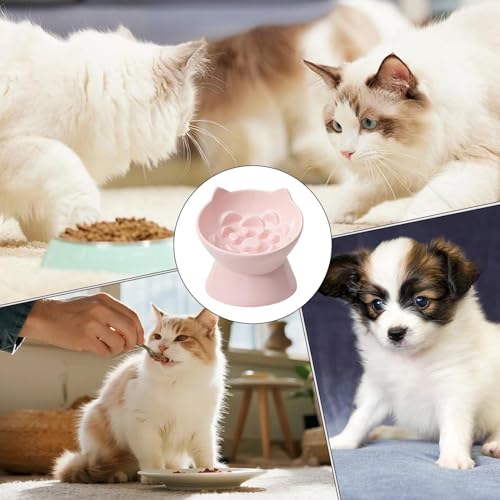 Bol en céramique pour chat haut de gamme : l'accessoire raffiné pour votre appartement - 5