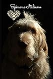 Spinone Italiano: Journal and Notebook - Composition Size (6\
