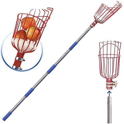 DIIG Fruit Picker, 13 Foot Fruit Picker Tool with Stainless Steel Connecting Pole, Fruit Picking Equipment for Getting Fruits Lemons Apples Guavas Avocados Pears Mangoes Oranges Cover