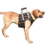KZOBYD Hundegeschirr Vorne Beine Tragehilfe Hunde Gehhilfe Unterstützung Harness Pet Heben Ziehen Weste Verstellbares Rehabilitation Assist Brustgeschirre Weich Laufgeschirre(Blau,M)