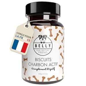 Belly® Biscuits Charbon Actif Chien -100g- 100% Végan – Réduit Gaz Malodorants, Anti Diarrhée Chien – Riche en Fibres, Graisses Végétales, Antioxydants, Vitamines, Minéraux – Activated Charcoal