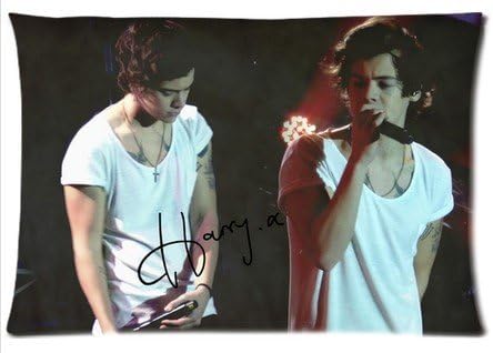 Accurate Store the boy band One Direction Harry Styles Pillow case Covers Standard Size 20"x30"
