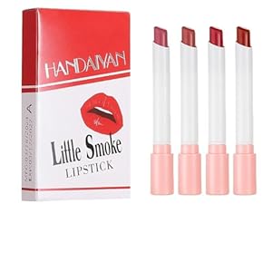 Lipgloss Set,4 PCS Matter Lipgloss,lip oil,Little Tube Lipstick,Lipstick set,Hochpigmentierter Samt,langanhaltende,wasserfest,tragbarer,Kussechter lippenstift,Für Mädchen Frauen