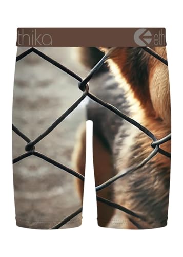 Ethika Mens Staple Boxer Brief | Tall Tale2