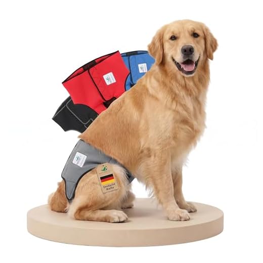 NATURE PET Läufigkeitshose/Hygienehose/Inkontinenzhose/Rüden Binde (XL, Grau)