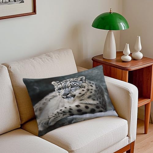 Funda de almohada rectangular de felpa de lujo resistente a la decoloración de 12x20 8