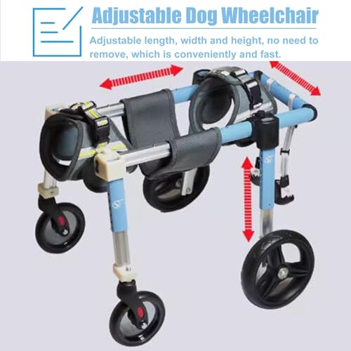 Aide à la mobilité pour chien handicapé pour retrouver le bonheur - 4