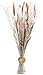 Produktbild Kobolo Deko-Bündel -Kunstblumen Trockenblumen und Naturfasern- weiß braun - 100 cm - one Size -