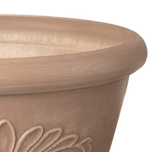 Arcadia PSW Pot TA30TP Collection Shallow Bulb Pan Planter Dish Low Bowl for Succulents, Bonsai, Fairy Gardens, Herbs, 12-inch, Taupe by Arcadia Garden Products - Image 4