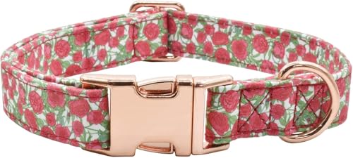 Adjustable Dog Collar for Small Medium Large Dogs - Colorful Pattern