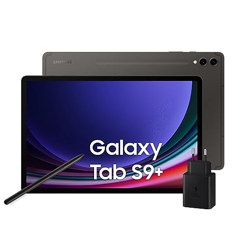 Samsung Galaxy Tab S9+, Pantalla 12.4